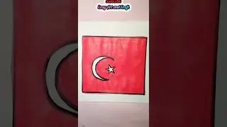 Draw Flag#nationalflag#turkey#shorts