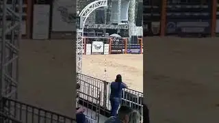 Vice Campe&atilde;