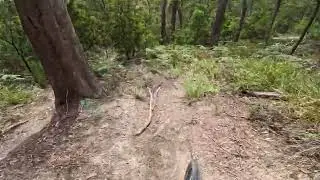Lower race track up paloona is primeee