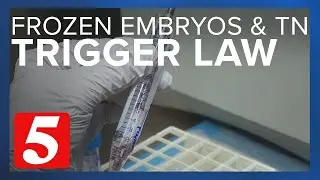 Will frozen embryo storage be impacted by Tennessee's trigger law?