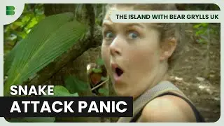 Evacuation After Snake Attack Panic | The Island with Bear Grylls UK