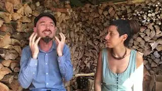 Treating Acute Infectious Disease with Traditional Herbal Medicine   Phase 2   The 'Heat' Phase