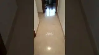 Restore Marble Floors