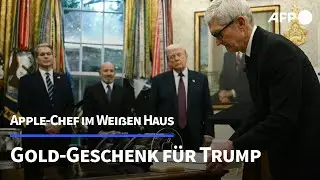 Apple-Chef umschmeichelt Trump mit Goldgeschenk | AFP