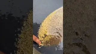 Gold Processing: How Miners Turn Soil into Gold, #mining #gold #goldcollector