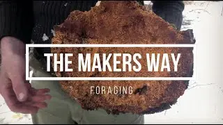 Chaga Foraging