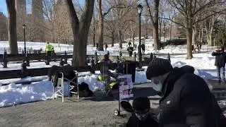 Covid Central Park Still Rocks On A Beautiful Winter NYC Sunday
