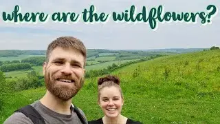 Wildflower Walk in Kent I Ranscombe Farm Reserve & Cobham Wood