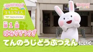 【予告】はみがきうさぎのカムカムどうぶつえん〜天王寺動物園のなかまたち〜ご案内