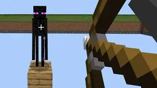 Destroying All Blocks Around An Enderman
