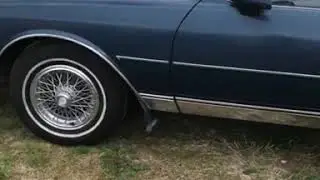 1989 caprice classic LS brougham
