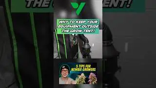 Why I Keep My Duct Fan And Carbon Filter OUTSIDE My Grow Tent