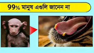 অবাক করা ৫ টি অজানা তথ্য || top 5 random amazing facts bangla