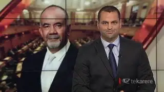 Te Reo Māori bill gets majority support