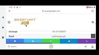 ANF Jobs 2024