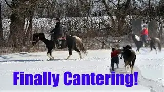 Crazy Snow Adventures!