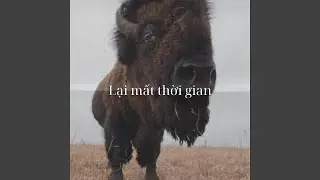 Lại Mất Thời Gian