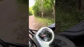 Goat Island Mountain Bike Track ride around trails.