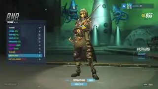 [Overwatch] Ana Skins
