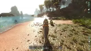 Ark pt2