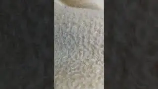 حسبي الله ونعم الوكيل يا رب ما ليش غيرك