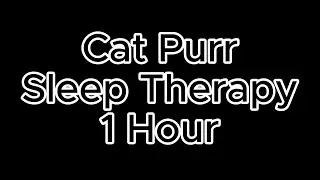 1 Hour Cat Purring for Sleep 🐾 Deep Calm, Anxiety Relief & Relaxation