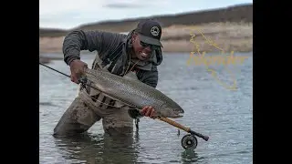 Islander Field Team - 