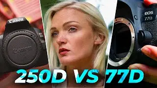 Which? Canon 250D (SL3) vs Canon 77D | Canon EOS DSLR Comparison and Review