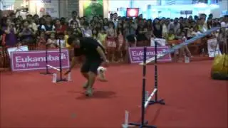 PetWorld 2013 Agility Trial - Team DK9 Eyson Teh & Wei Wei(Toy Poodle)
