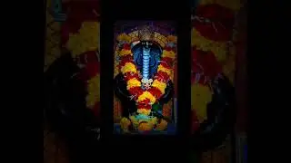 #nagarPanchami