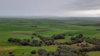 جولة في مدينة حد كورت و نواحيها إقليم سيدي قاسم🌹🌹🌹🌹