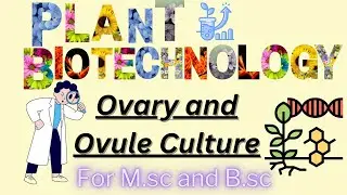 Ovary and Ovule Culture, procedure, application | Gynogenesis | gynogenic haploid plant production