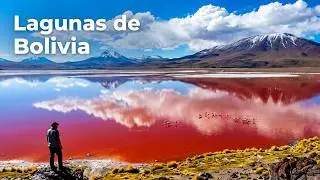 Visitando Bolivia: Lagunas del Altiplano | 4k  | Reserva de Fauna Andina Eduardo Avaroa | Dia 7