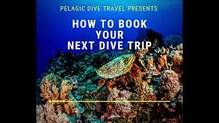 Pelagic Dive Travel Search & Booking Process