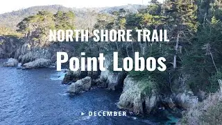 [4K] Point Lobos State Reserve – North Shore Trail | California Walks (EP 1)