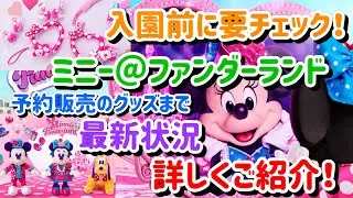 人気すぎる！ミニー@ファンダーランドのグッズがもう予約販売に？詳しくご紹介【ディズニー】