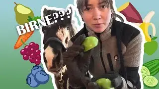 Mein Pferd probiert Obst und Gem&uuml;se