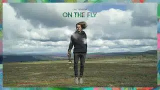 JPATTERSSON - Mosquitos