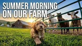 Farm Fresh Puppy Antics You Won't Want to Miss