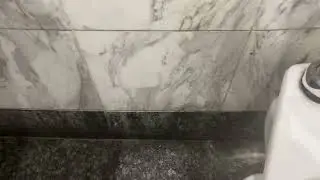 Alpine Cinema Women&rsquo;s and Disabled Single User Restroom