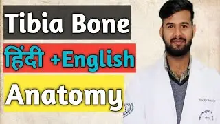 Tibia bone || Hindi English ||