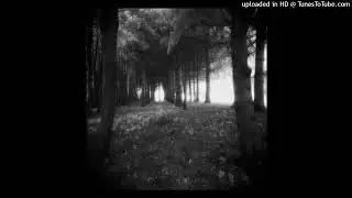 [FREE] *** shoegaze + alt rock type beat 