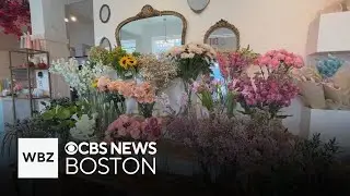 Somerville flower shop Rococo is all about community in Union Square