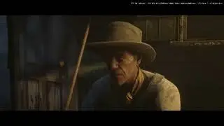 mano pirmas  normalus video (RDR2)