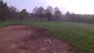 ALZRC/Goblin 380 Akku 3 fun 21.4.18