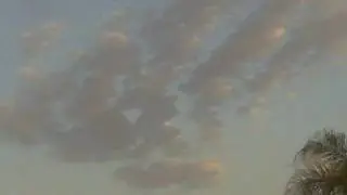 Allah's Miracle