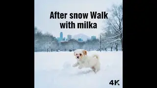 Snowy Montreal ❄️ Cinematic Winter Walk with Milka | Natural Sounds