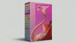 [FREE] Afrobeat Loop Kit 2026 &ndash; LAGOS Vol. 2 🏖 (Kapo x Beele Type Vibe)