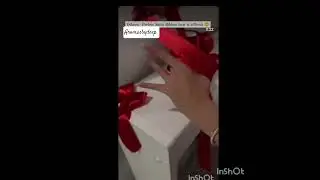 This Bow Isn't Just Pretty...It's A Story In Itself 🌟 bow making video