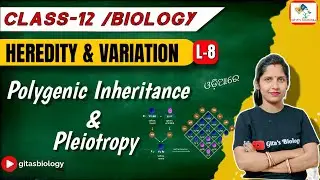 Polygenic Inheritance and Pleiotropic Gene || Unit-II || GENETICS || Class-12 Biology|| CHSE Odisha